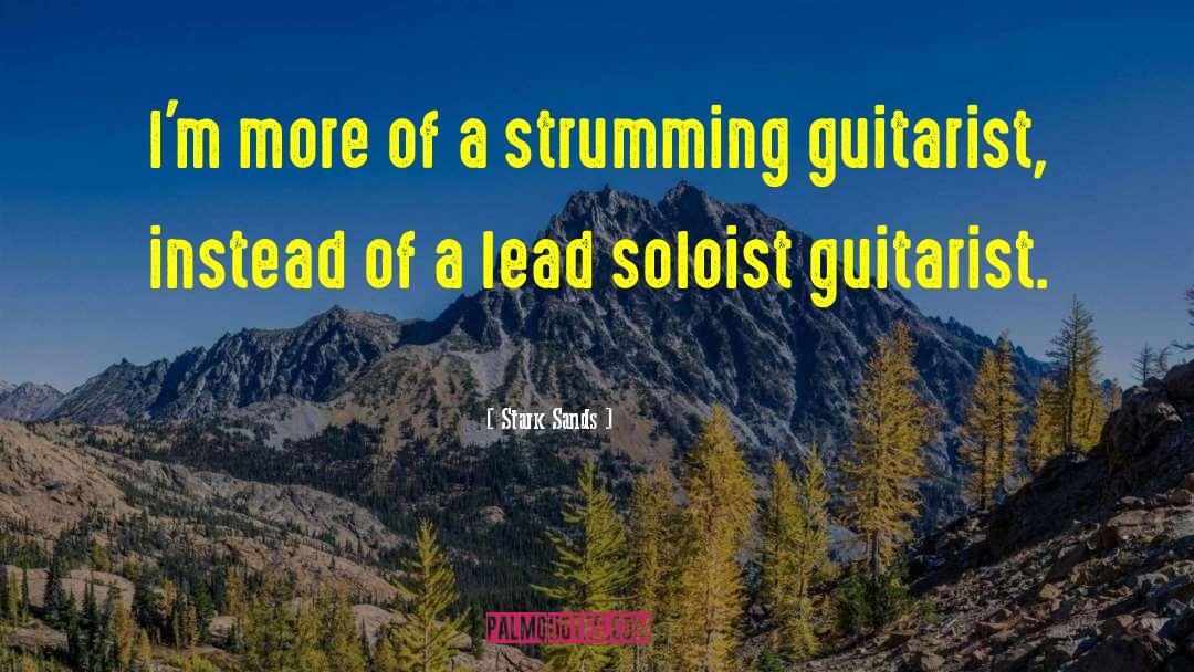 Bumblefoot Guitarist quotes by Stark Sands