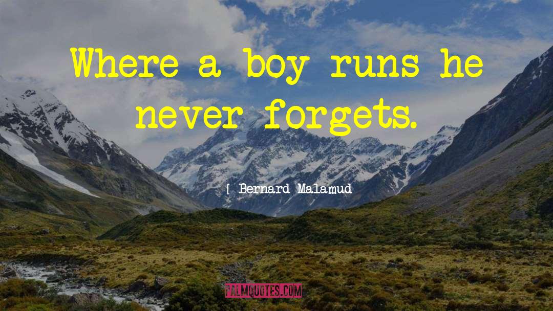 Bumbling Boy quotes by Bernard Malamud