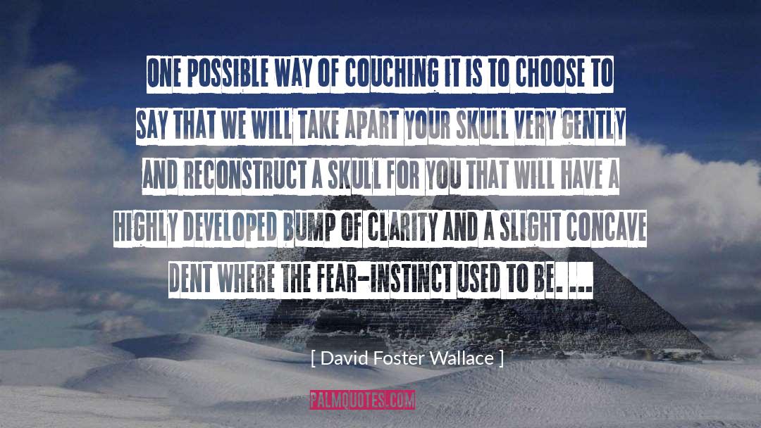 Bump quotes by David Foster Wallace