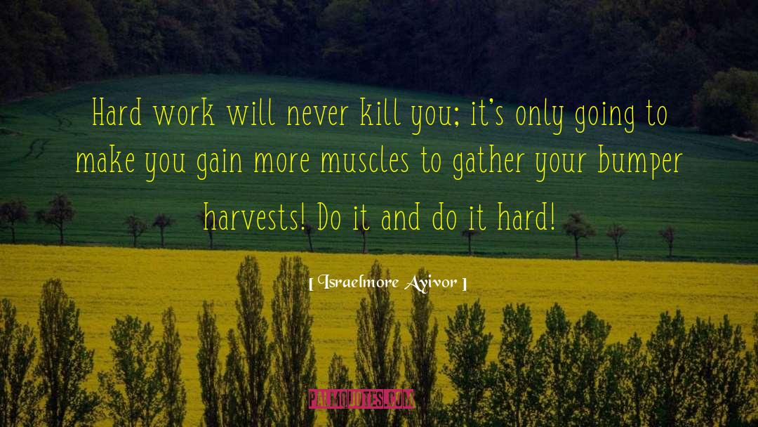 Bumper Harvest quotes by Israelmore Ayivor