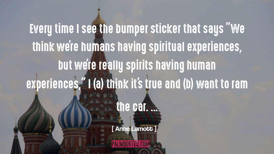 Bumper Sticker Christian quotes by Anne Lamott