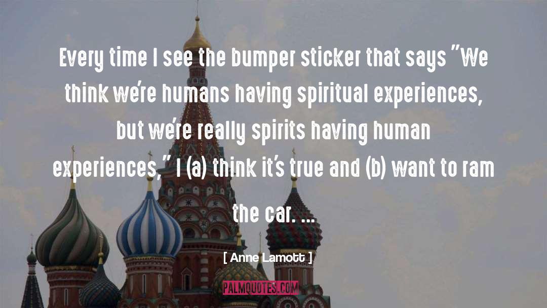 Bumper Sticker quotes by Anne Lamott