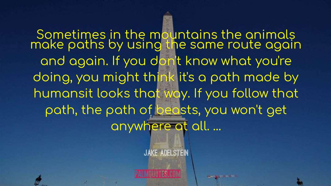 Bumps In The Road quotes by Jake Adelstein
