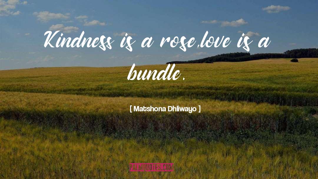 Bundle quotes by Matshona Dhliwayo