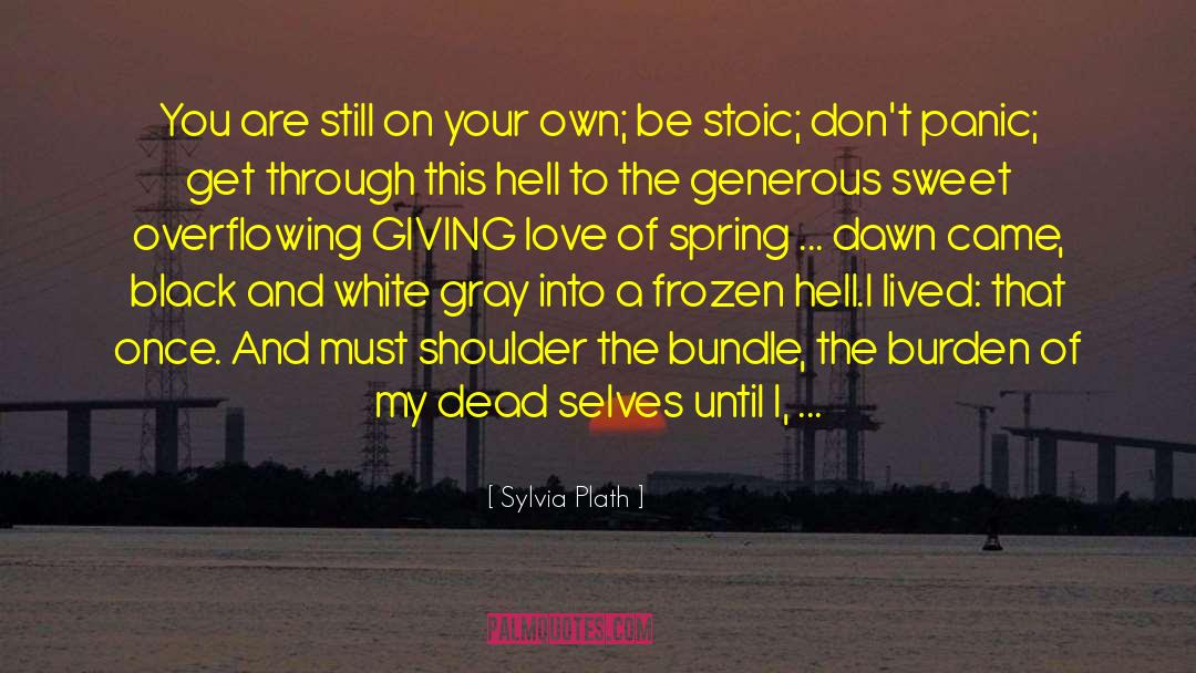 Bundle quotes by Sylvia Plath