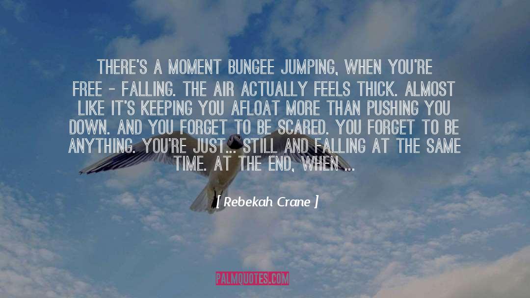 Bungee Jumping quotes by Rebekah Crane