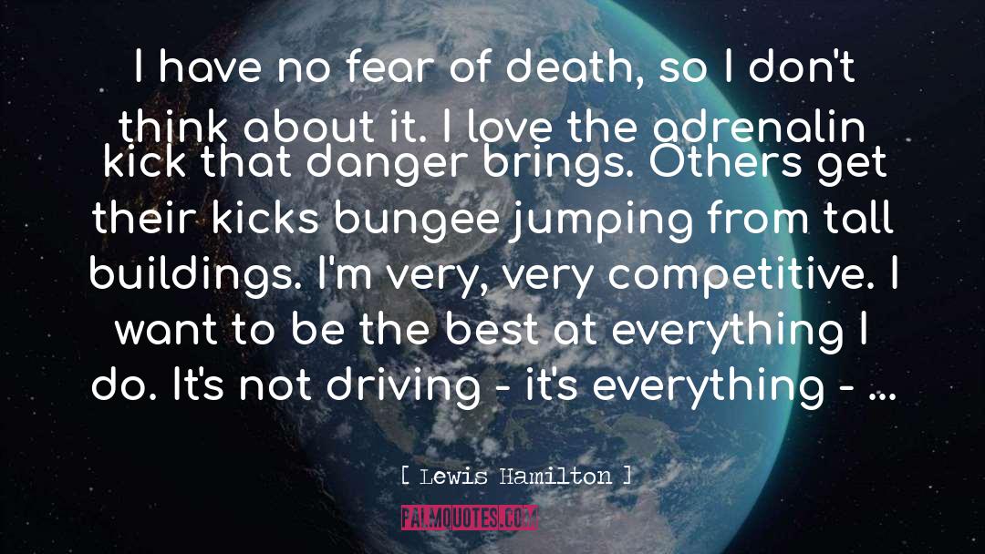 Bungee Jumping quotes by Lewis Hamilton