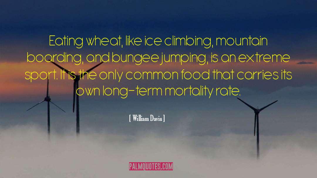 Bungee quotes by William Davis