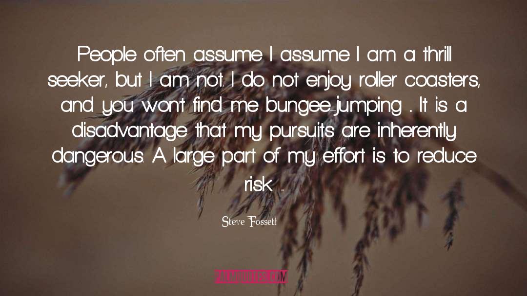 Bungee quotes by Steve Fossett