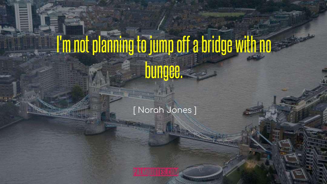 Bungee quotes by Norah Jones