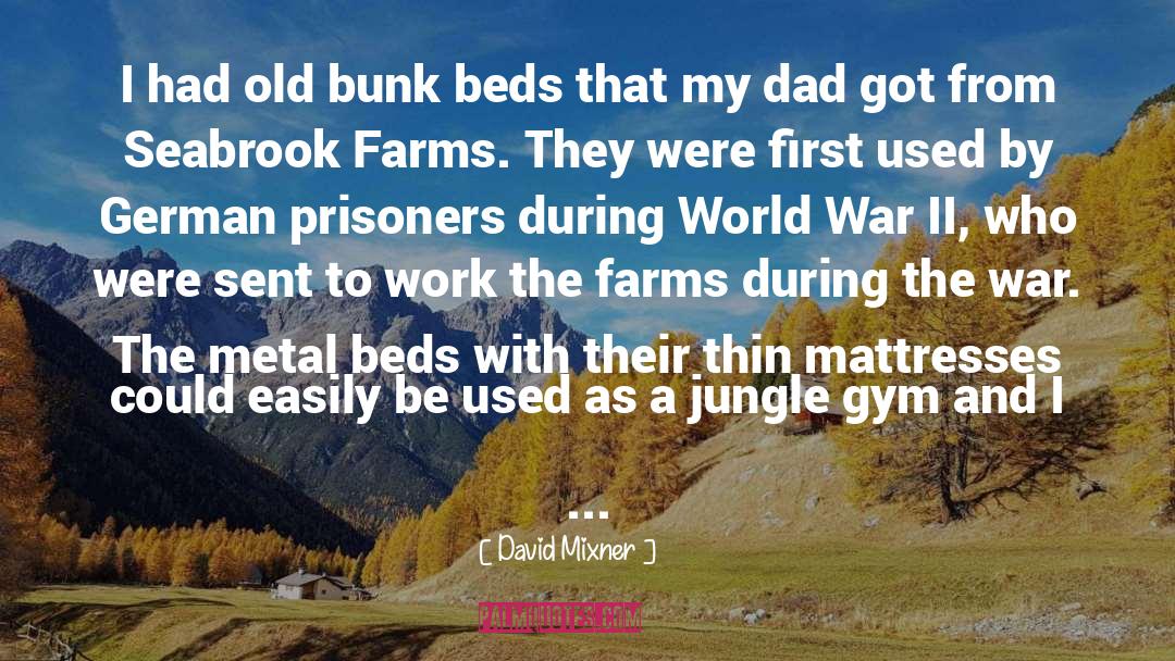 Bunk Beds quotes by David Mixner