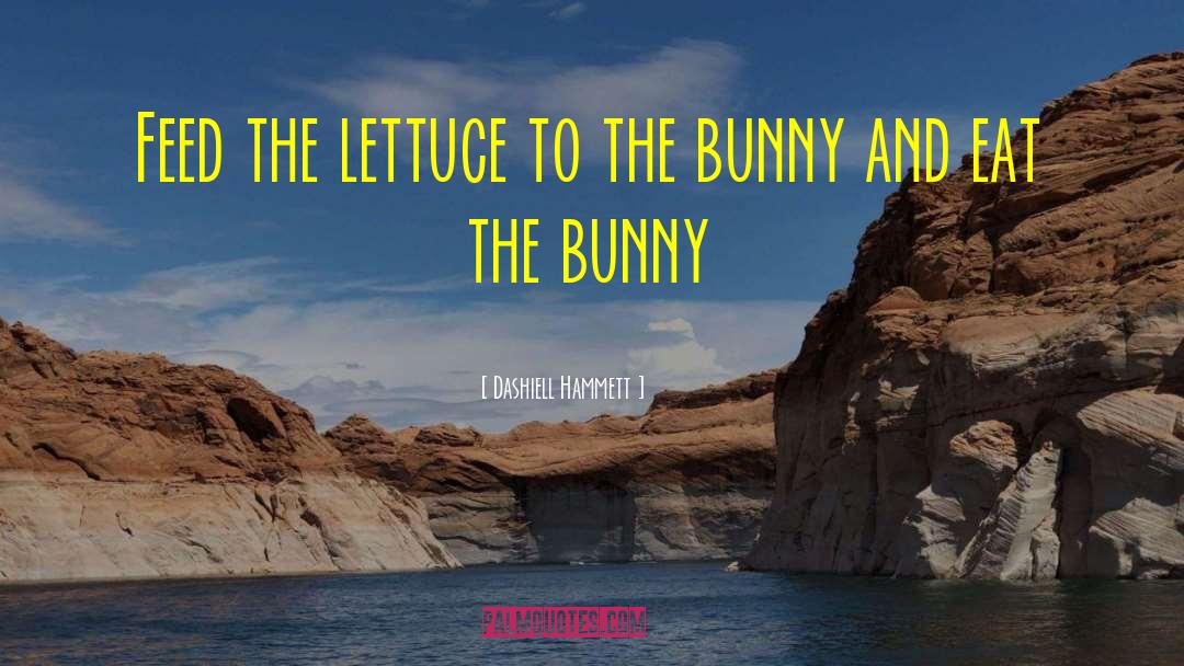 Bunnies quotes by Dashiell Hammett