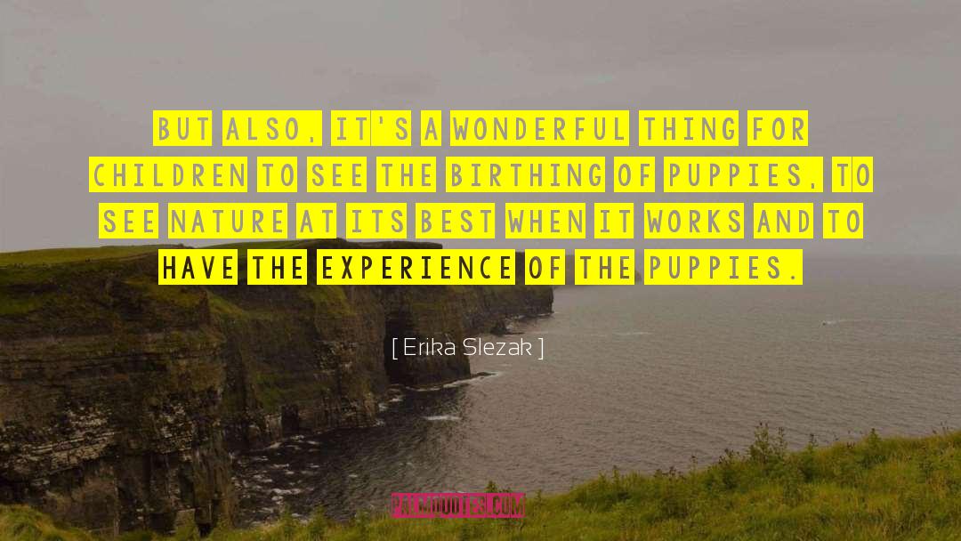 Bunny And Puppy quotes by Erika Slezak