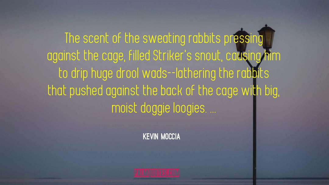 Bunny Rabbits quotes by Kevin Moccia
