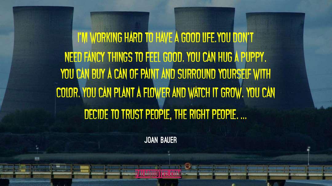 Burden Of Life quotes by Joan Bauer