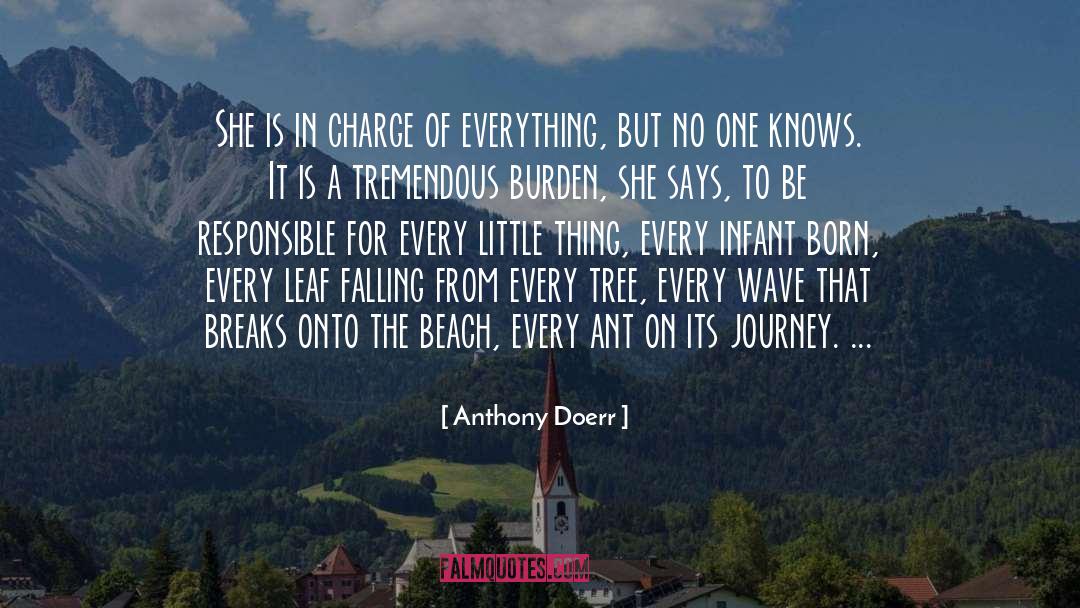 Burden Of Life quotes by Anthony Doerr