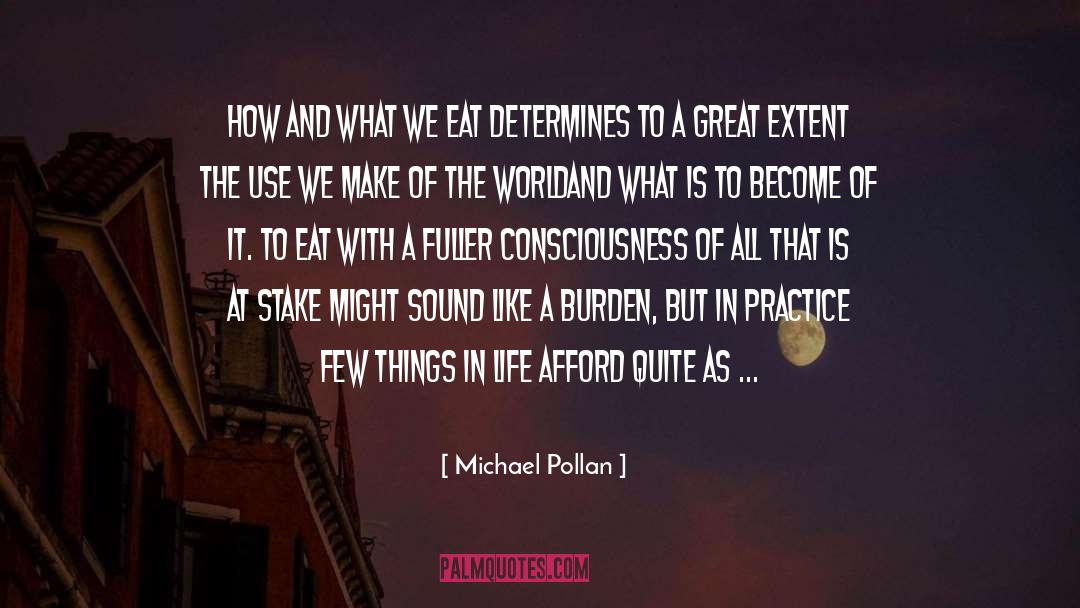 Burden quotes by Michael Pollan