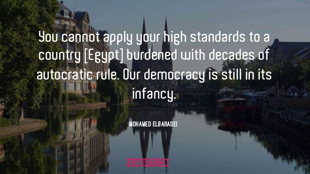 Burdened quotes by Mohamed ElBaradei