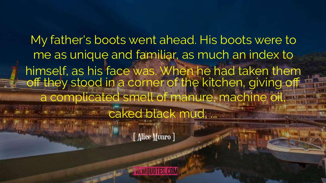 Burdge Boots quotes by Alice Munro