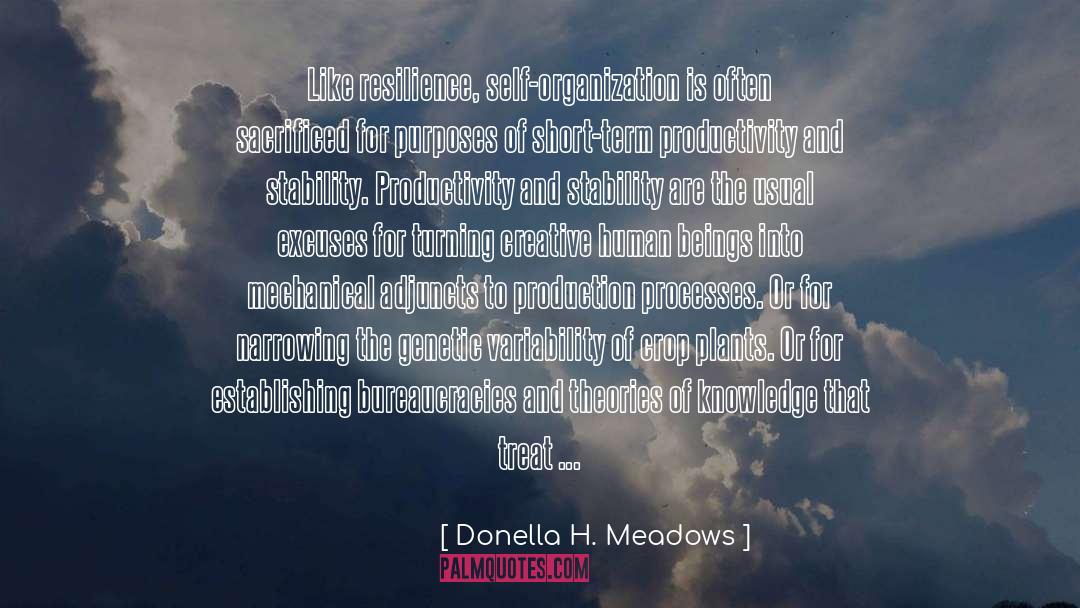 Bureaucracies quotes by Donella H. Meadows