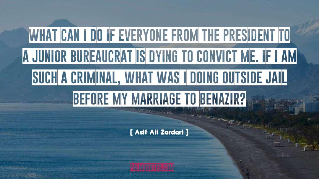 Bureaucrat quotes by Asif Ali Zardari