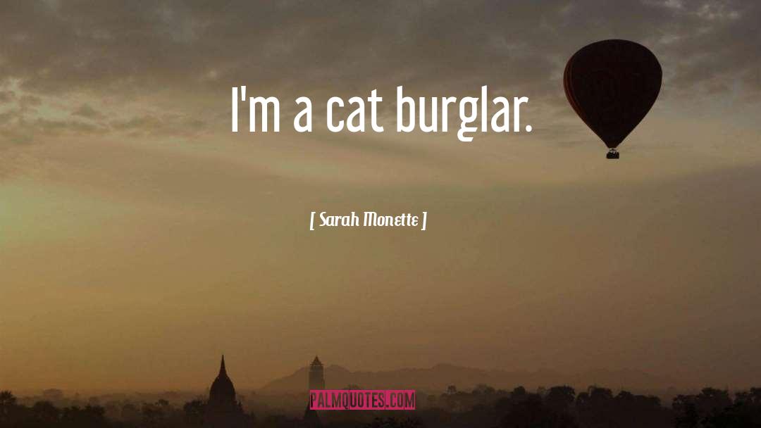 Burglar quotes by Sarah Monette
