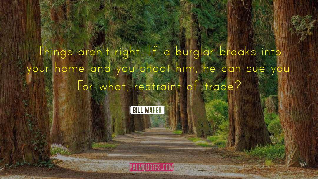 Burglar quotes by Bill Maher