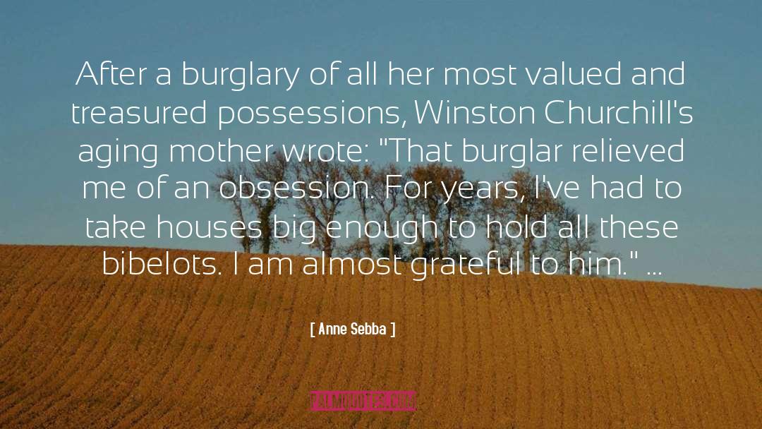 Burglar quotes by Anne Sebba