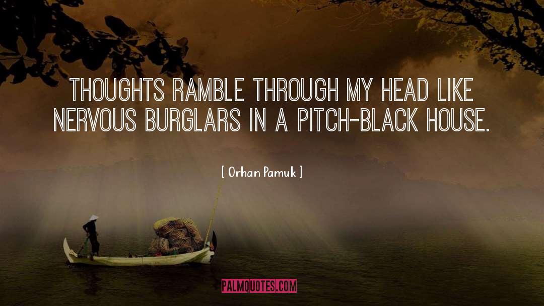 Burglars quotes by Orhan Pamuk