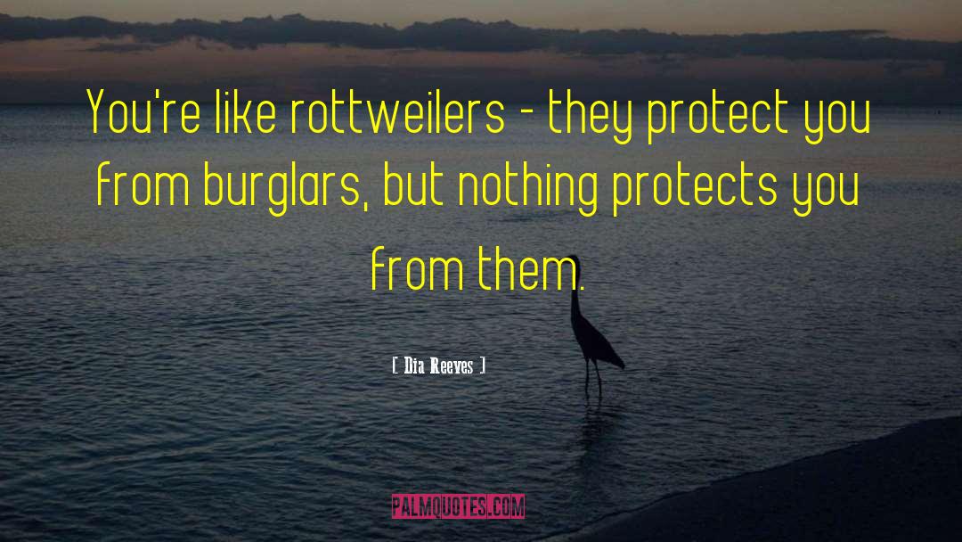 Burglars quotes by Dia Reeves