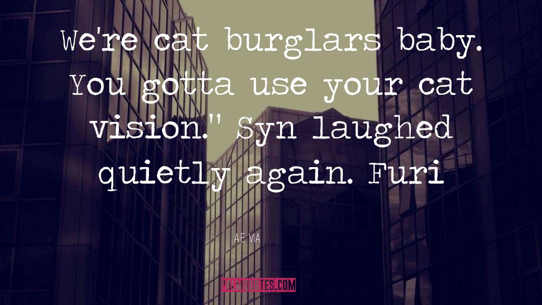 Burglars quotes by A.E. Via