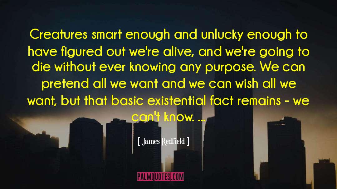 Buried Alive quotes by James Redfield
