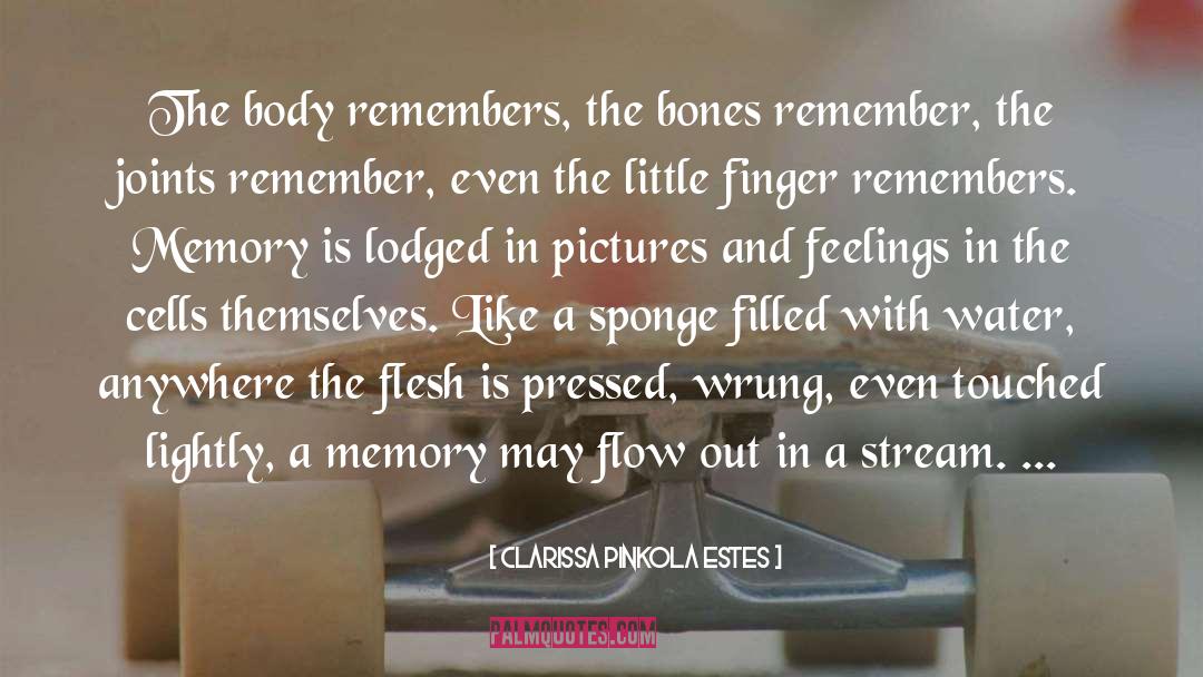 Buried Bones quotes by Clarissa Pinkola Estes