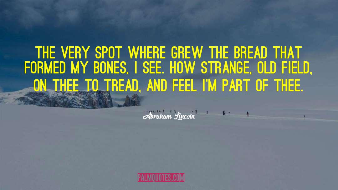 Buried Bones quotes by Abraham Lincoln