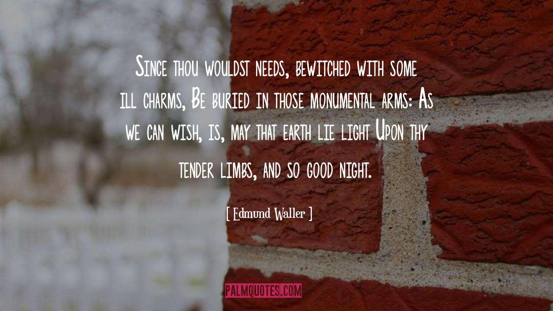 Buried Past quotes by Edmund Waller