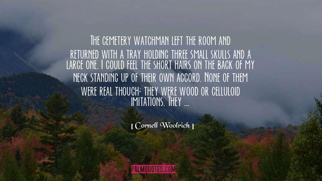 Buried Secrets quotes by Cornell Woolrich