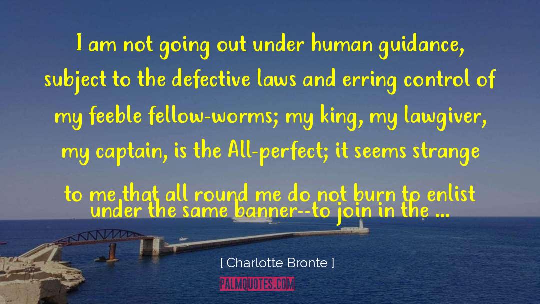 Burn Elementally Evolved quotes by Charlotte Bronte