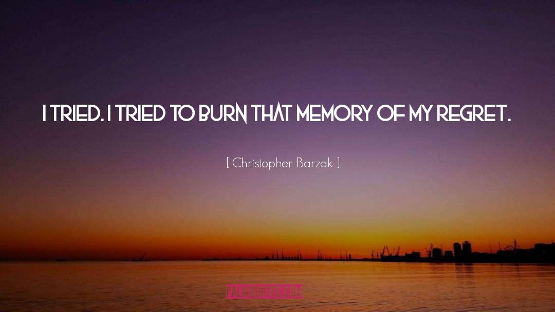 Burn Elementally Evolved quotes by Christopher Barzak