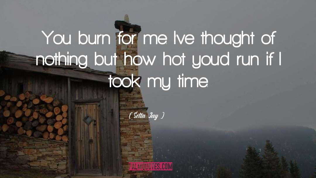 Burn For Me quotes by Setta Jay