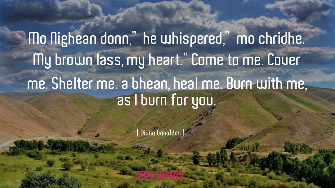 Burn For You quotes by Diana Gabaldon