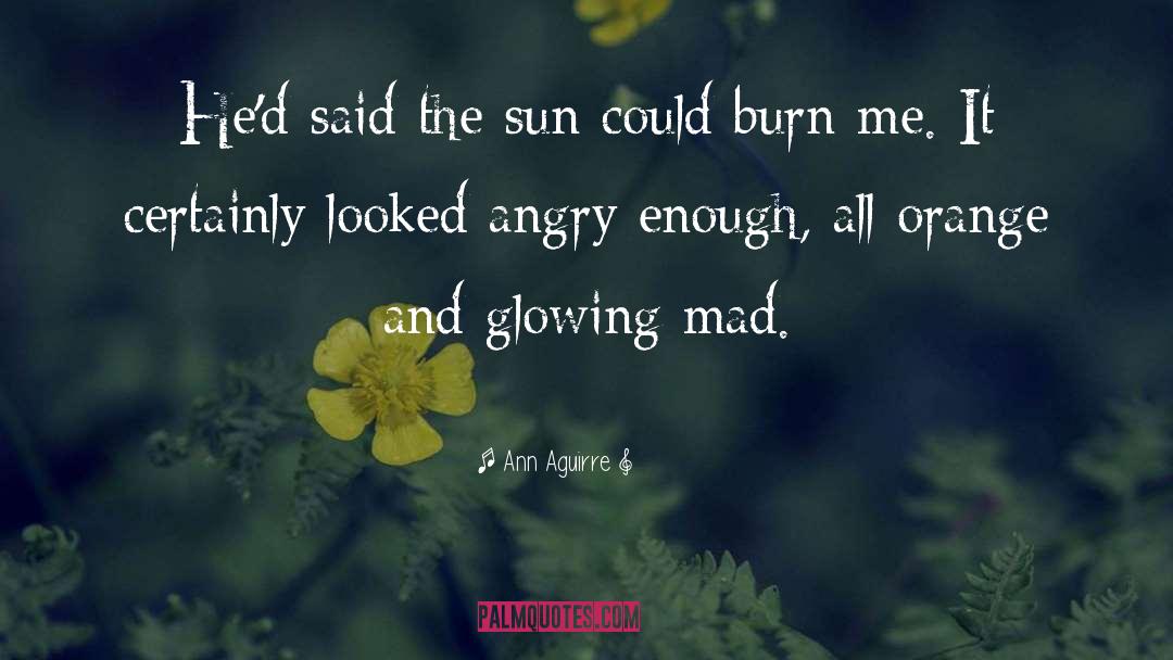 Burn quotes by Ann Aguirre