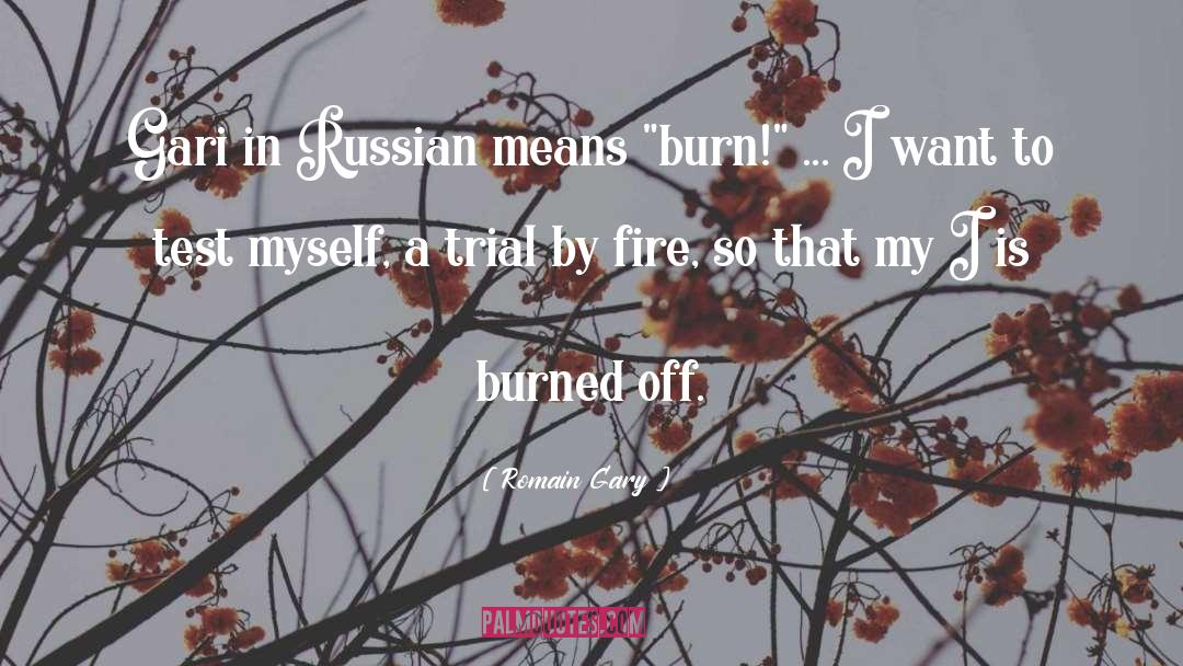 Burn quotes by Romain Gary