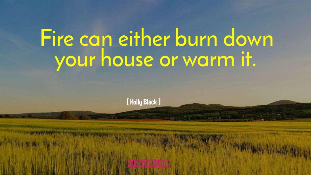 Burn Scar quotes by Holly Black