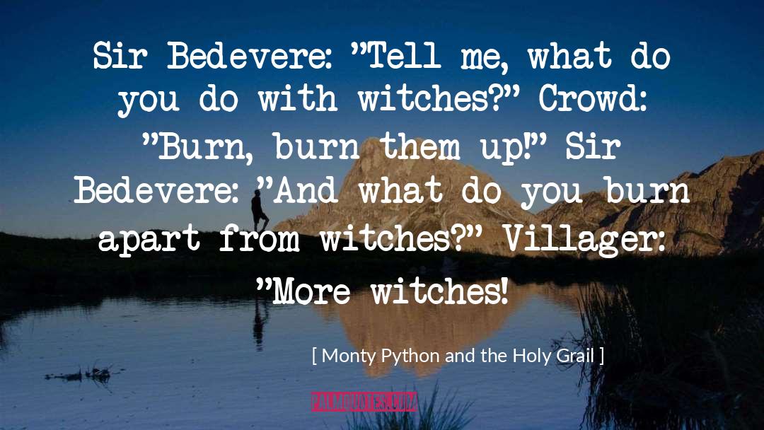 Burn Survivors quotes by Monty Python And The Holy Grail