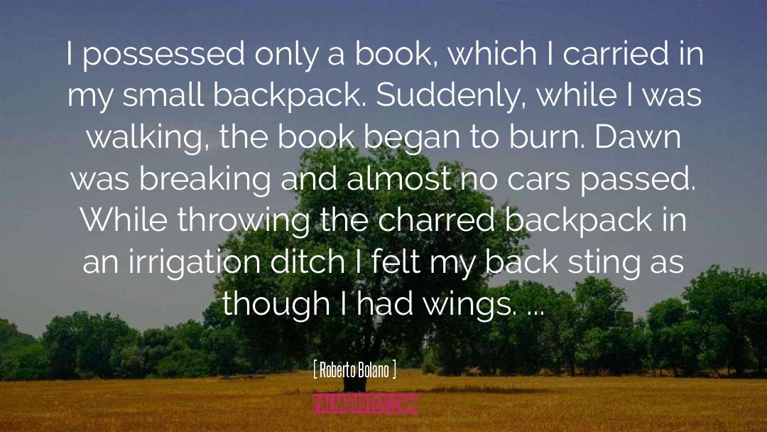Burn Survivors quotes by Roberto Bolano