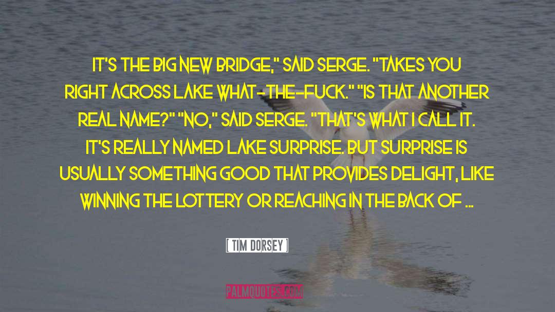 Burn The Bridge quotes by Tim Dorsey