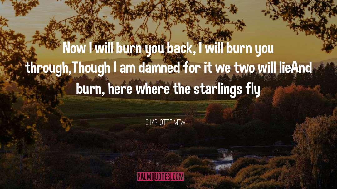 Burn Victims quotes by Charlotte Mew