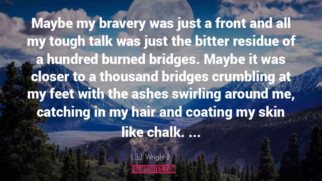 Burned Bridges quotes by S.J. Wright