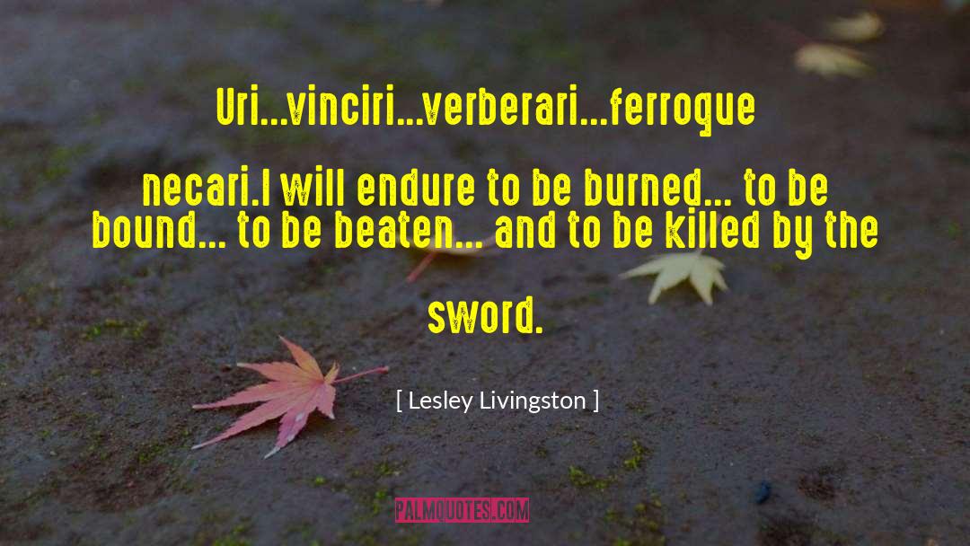 Burned Bridges quotes by Lesley Livingston
