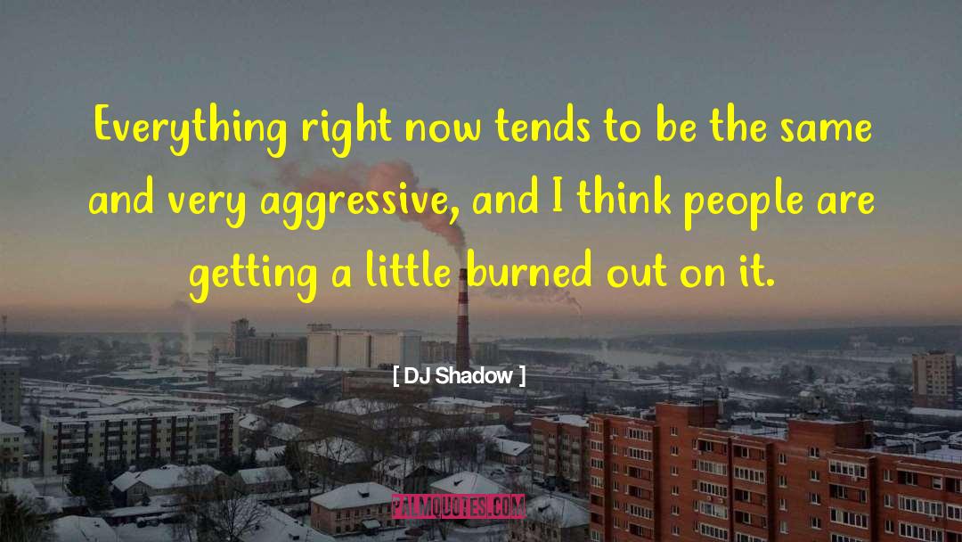 Burned Out quotes by DJ Shadow